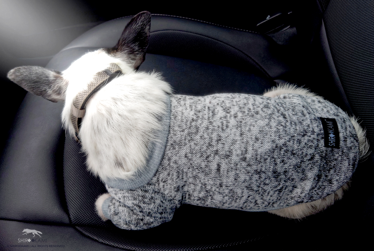 pillings big dog pullover リョウタムラカミ 犬 ニット pillings big dog pullover リョウタムラカミ 犬 ニット - メルカリ