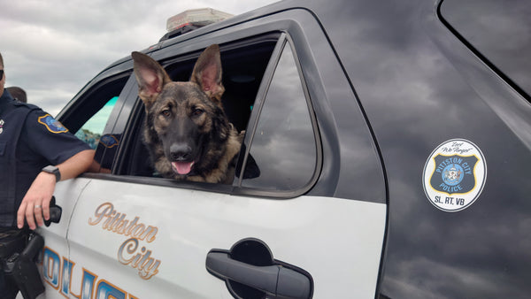 A Tale of Two Officers: Surprising Facts and Stories about K-9s