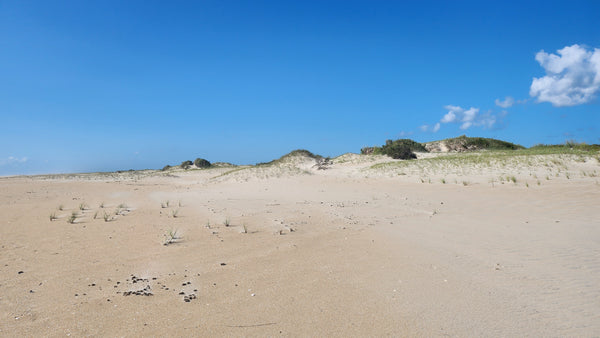 Road to Nowhere: The Boulevard of Dreams Reclaimed by the Dunes