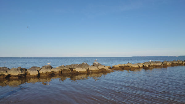 Pirates of the Potomac: Colonial Beach