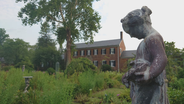 History Still Standing at Chatham Manor