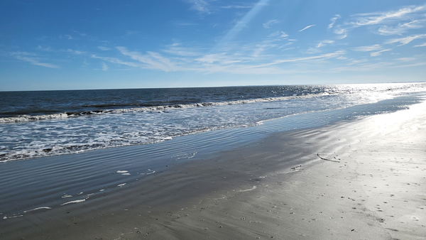 Nature Paved Paradise and Put up a Parking Lot: Concrete Beach at Hilton Head