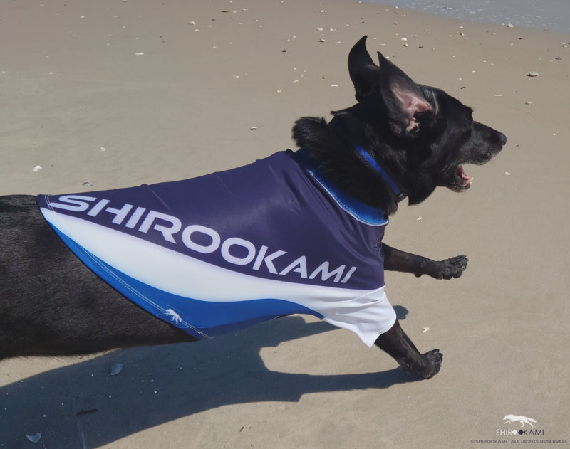 BRAVE THE SEA ≋ DOG'S RASHGUARD