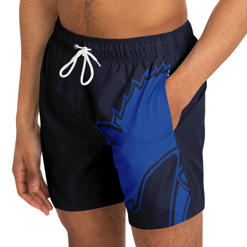 BRAVE THE SEA ≋ BOARDSHORTS