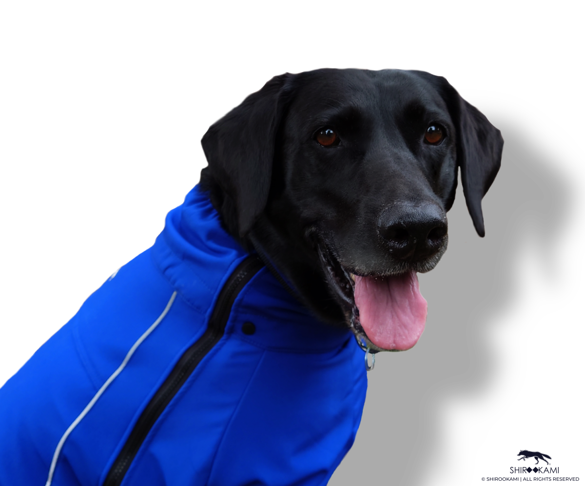 BACK THE BARK - DUTY COAT – Shirookami