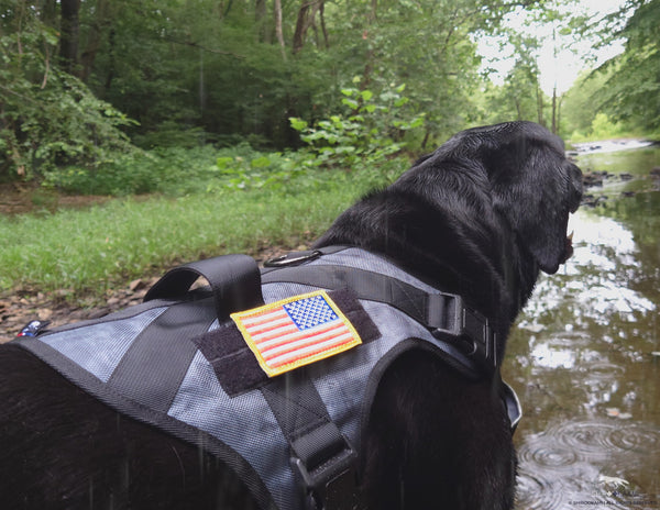 DOGS.UNITE BALLISTIC VEST