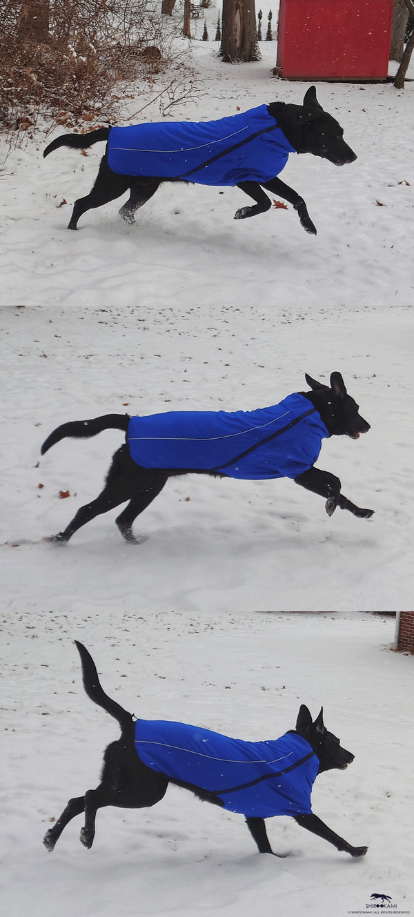 BACK THE BARK - DUTY COAT