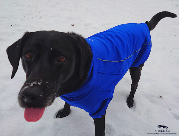 BACK THE BARK - DUTY COAT