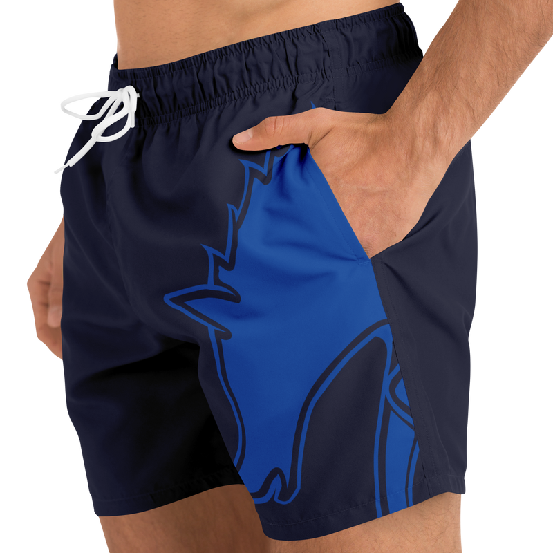 BRAVE THE SEA ≋ BOARDSHORTS